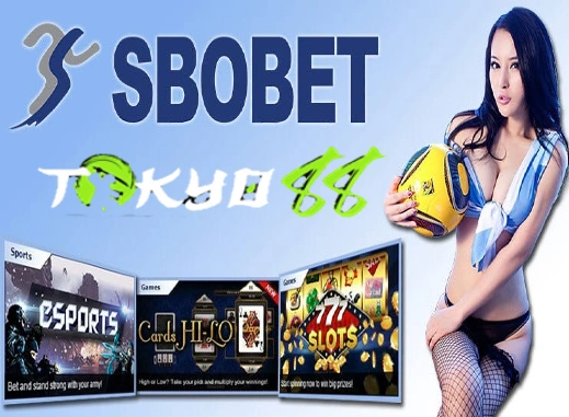 SBOBET: Cách đặt cược và mẹo chơi cá cược thực chiến